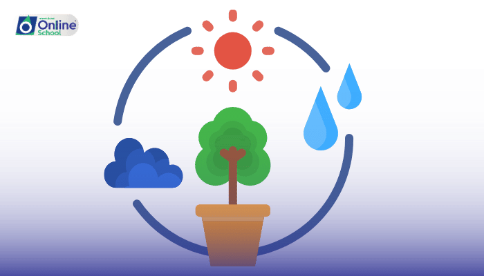 Lesson 03: Raw Materials of Photosynthesis